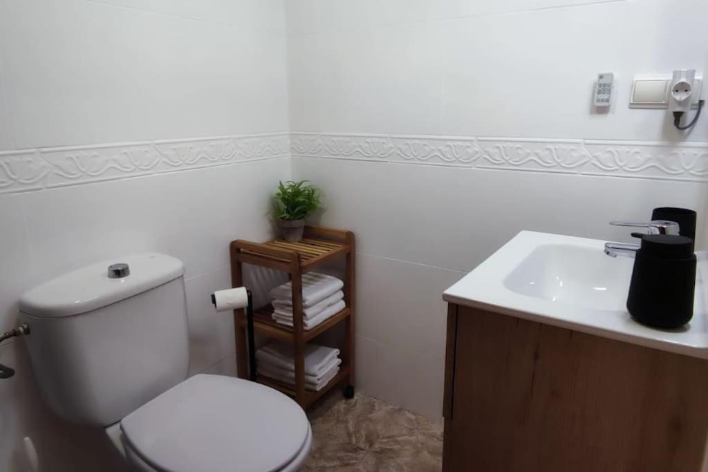 Apartamento En El Centro De Elche Con Terraza La Alborada エクステリア 写真