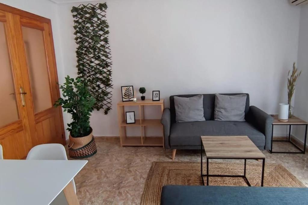 Apartamento En El Centro De Elche Con Terraza La Alborada エクステリア 写真