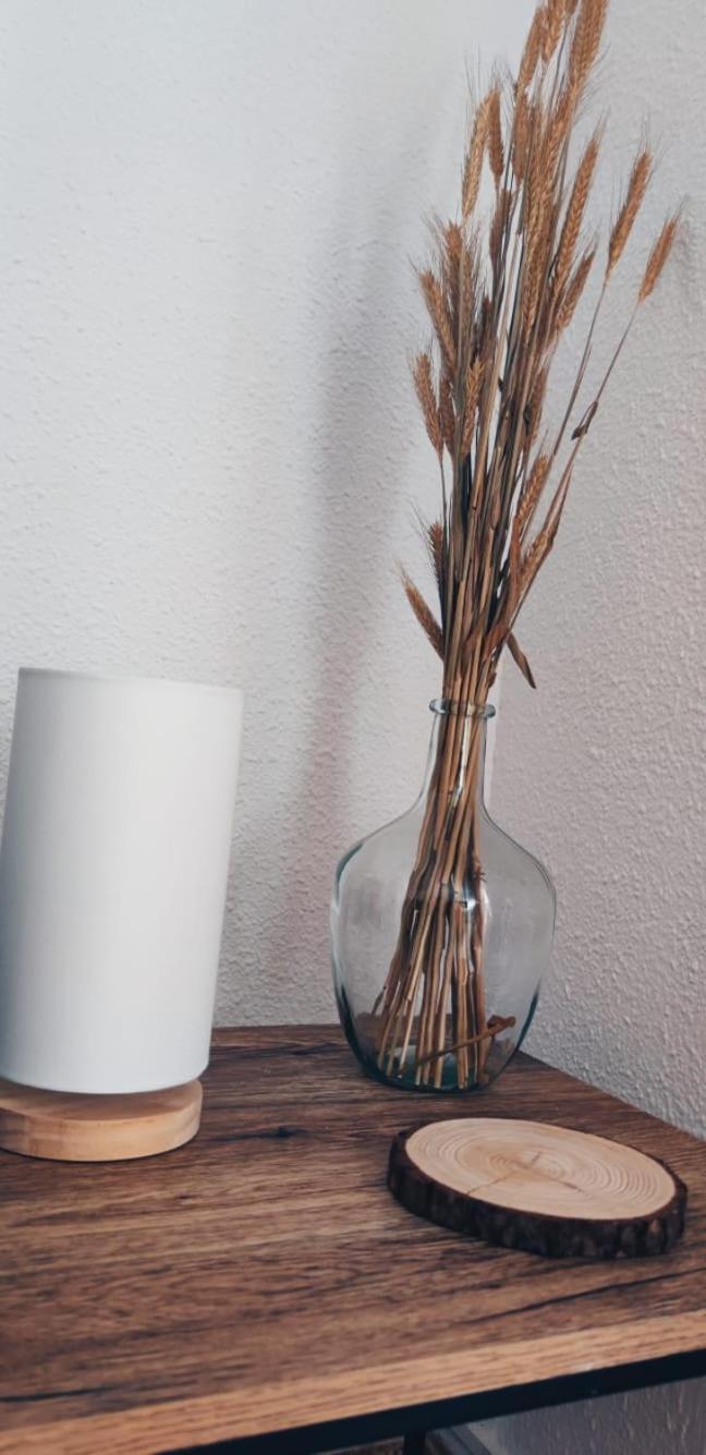 Apartamento En El Centro De Elche Con Terraza La Alborada エクステリア 写真